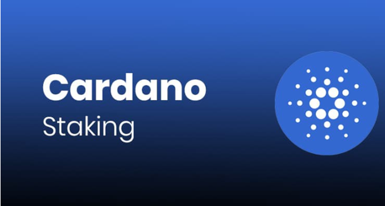 استیکینگ کاردانو Staking ADA